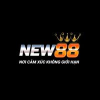 new88813