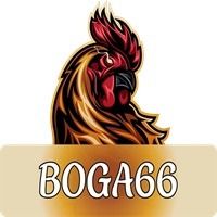 boga66casino