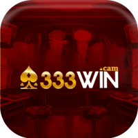 333wincam