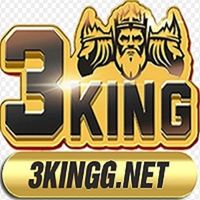 3kinggnet