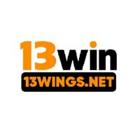 13wingsnet