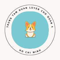 huanluyenchoq4