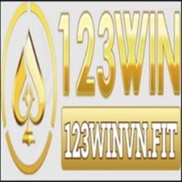 123winvnfit