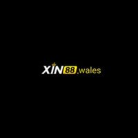 xin88wales