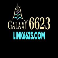 link6623vn
