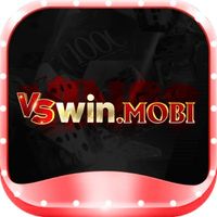 vswinmobi