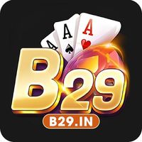 b29in