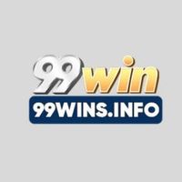 99winsinfo