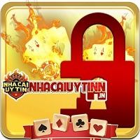 nhacaiuytinnin