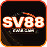 SV88cam1 0