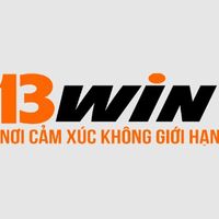 13windomains 0