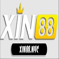 xin88nyc