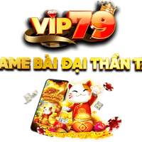 vip79cam1
