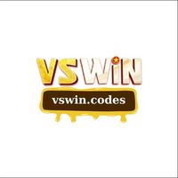 vswincodes1