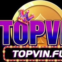 topvinfun