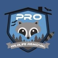 prowildliferemoval