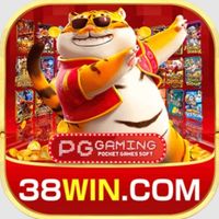 38wingamecombr