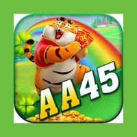 aa45org