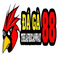daga88canway 0