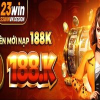 23winvndesign