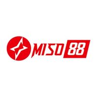 miso88snett