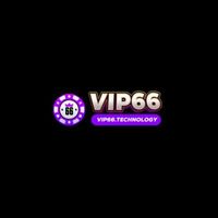 vip66techno