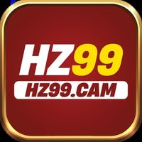 hz99cam