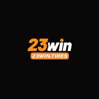 23wintires1