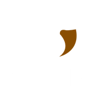 BetBhai 0