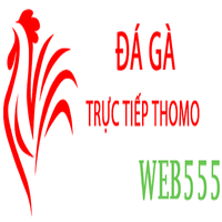dagaweb555