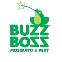 buzzbossca