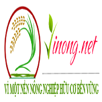 vinongducbinh