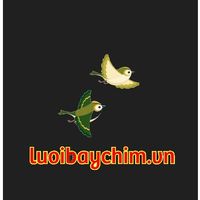 luoibaychimvn