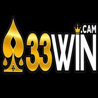 33wincam