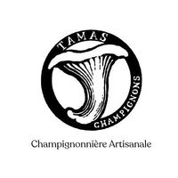 tamaschampignons