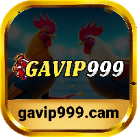 gavip999cam