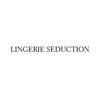 lingerieseduction1