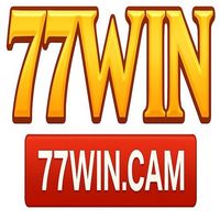 77wincam