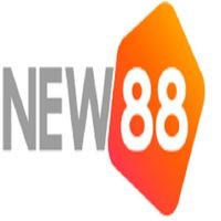 vnew88nett