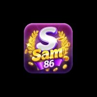 sam86blog1