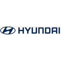 hyundailevanluong