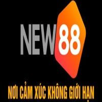 new882info1