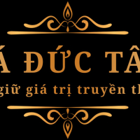 damyngheductam