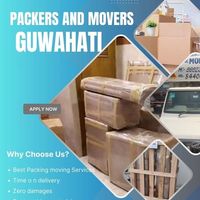 dtcpackers