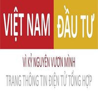 vietnamdautumedia