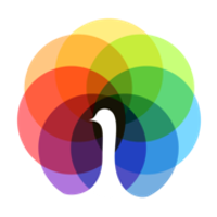 Peafowl IT Solution