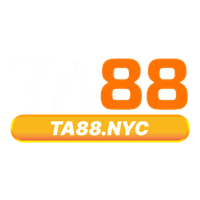 ta88nyccm