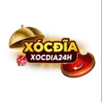 xocdia24h1