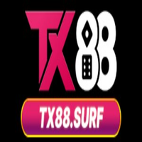 tx88surf1