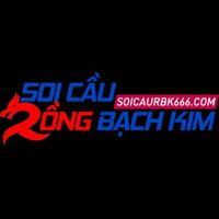 soicaurbk666com